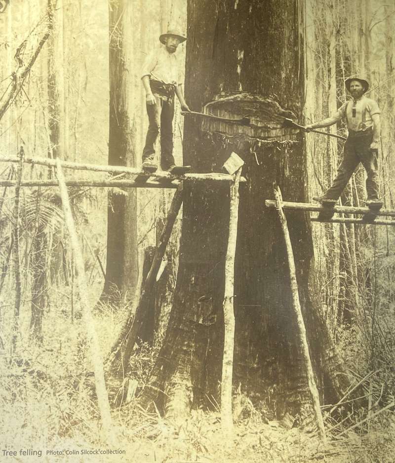 Allambee - Mount Worth State Park