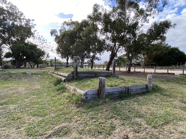Mountain District Horse & Pony Club (Croydon)