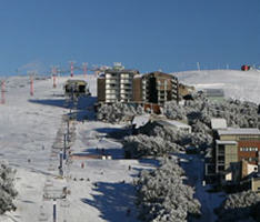 Mt Buller - Scenic Chairlift