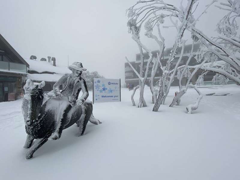 Mt Buller Sculpture Park Walk