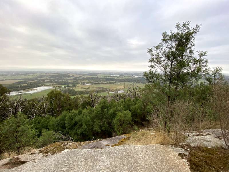 Mt Cannibal Flora and Fauna Reserve Walk (Garfield North)