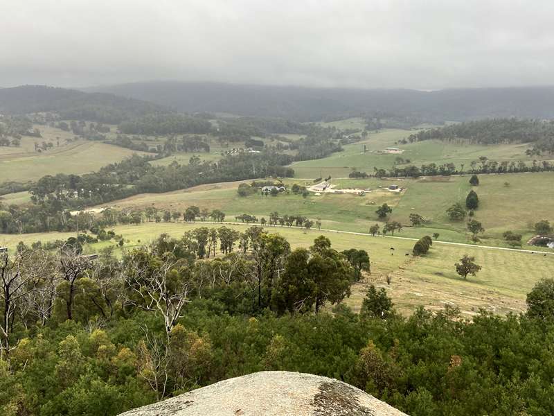 Mt Cannibal Flora and Fauna Reserve Walk (Garfield North)