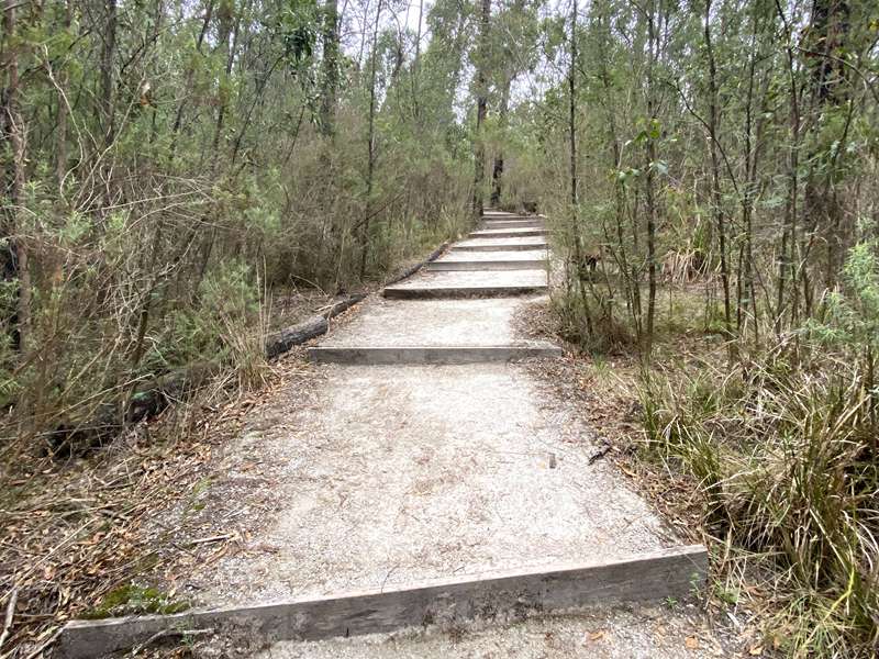 Mt Cannibal Flora and Fauna Reserve Walk (Garfield North)