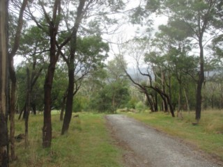 Mt Morton Reserve Dog Off Leash Area (Belgrave South)