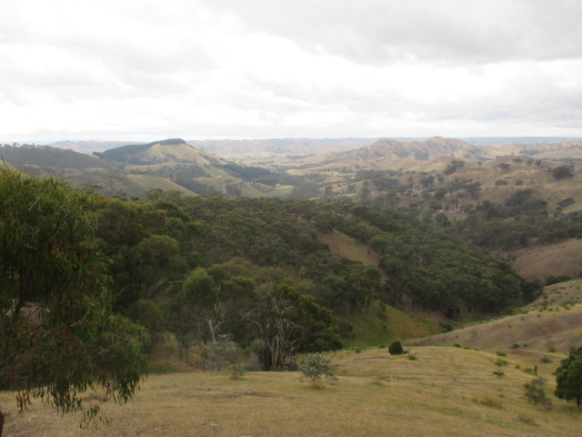 Reedy Creek - Murchison Gap Lookout