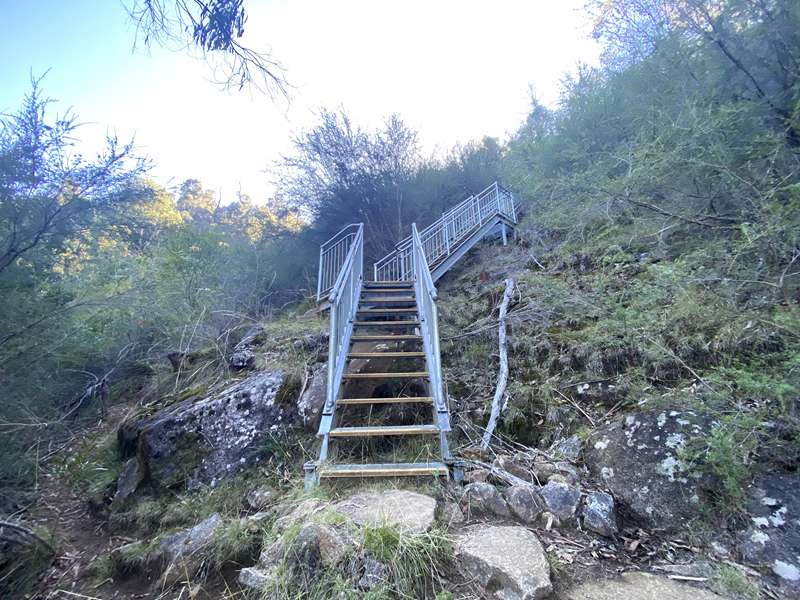Murrindindi - Wilhelmina Falls