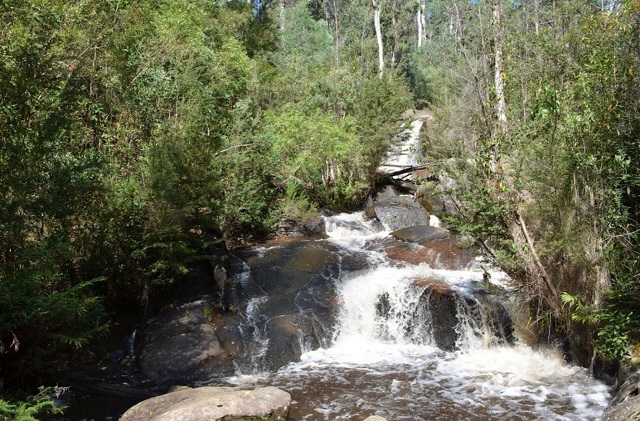 Murrindindi - Murrindindi Cascades