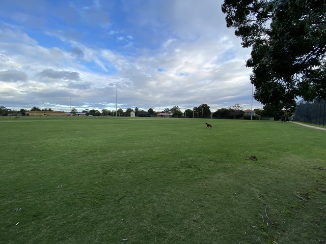 Murrumbeena Park Dog Off Leash Area (Murrumbeena)