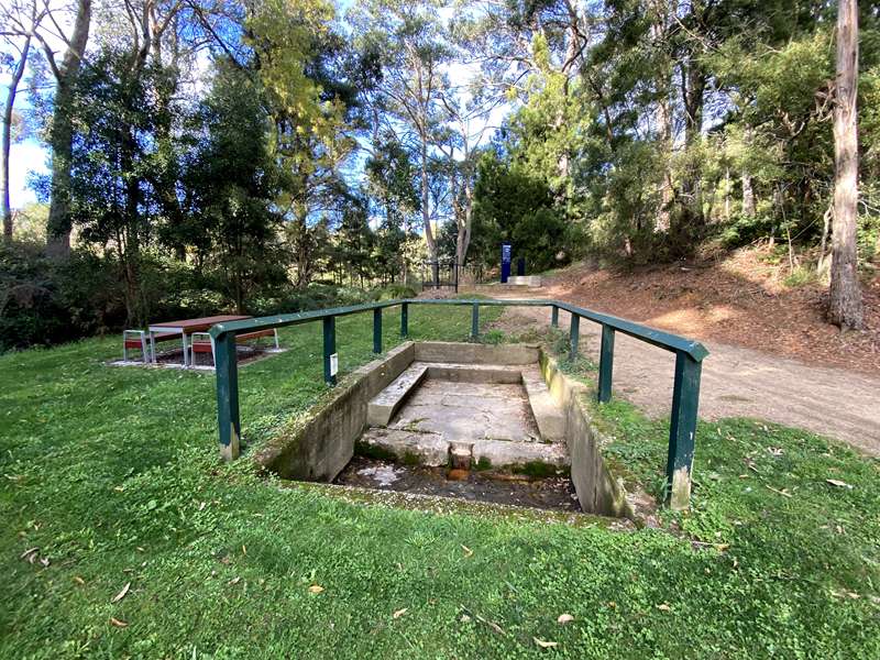 Musk - Leitches Creek Mineral Spring