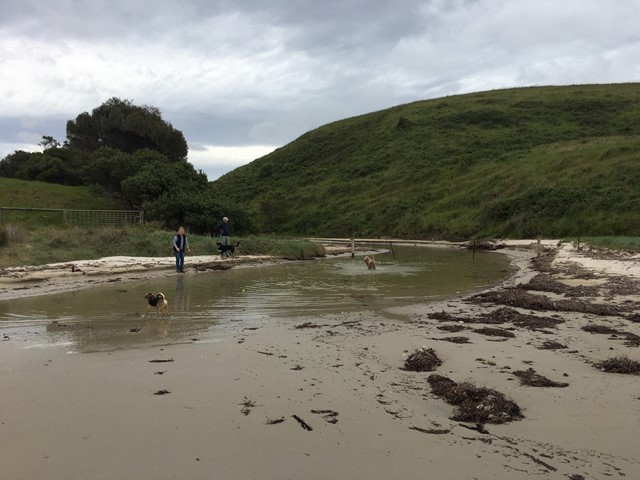 Musk / Manton Creek Beach (Shoreham)