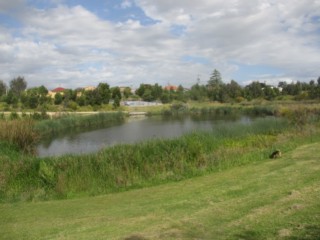 Namatjira Reserve Dog Off Leash Area (Clayton South)