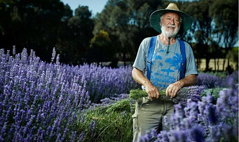 Narrawong - Narrawong Lavender