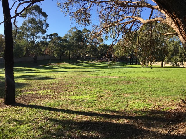 Narr-Maen Reserve Dog Off Leash Area (Croydon Hills)