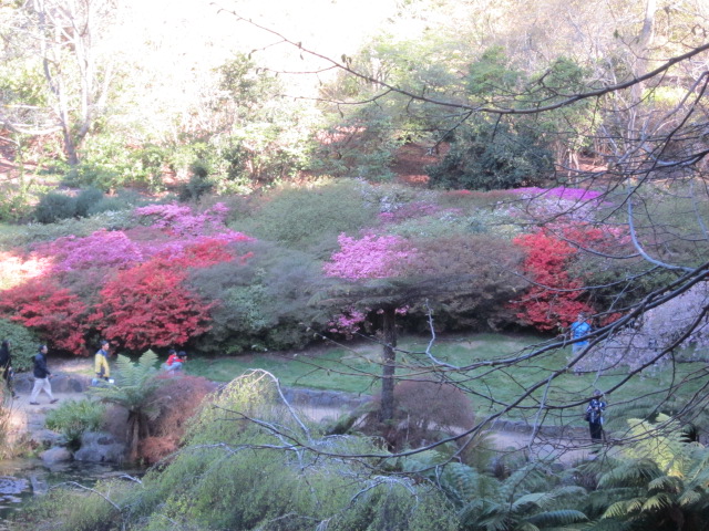 Dandenong Ranges Botanic Garden