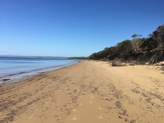 Navy / Sandy Beach (Somers)