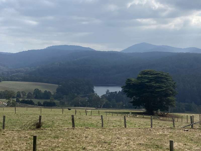 Neerim - Apex Picnic Area Lookout