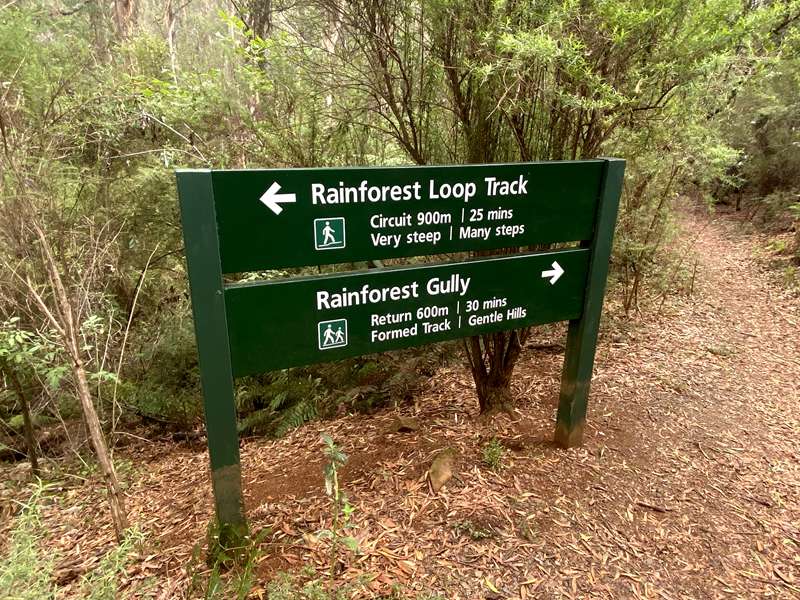 Neerim Junction - Glen Nayook Bushland Reserve