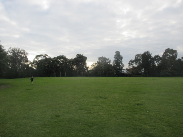 Nettleton Park Dog Off Leash Area (Glen Iris)