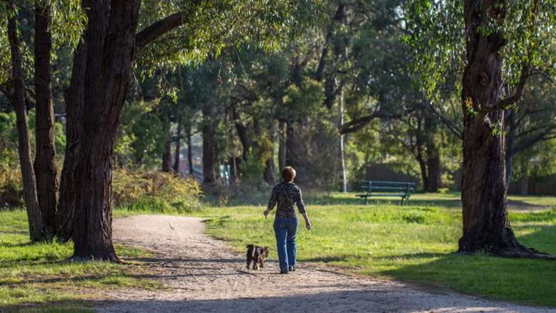 Newborough - Ollerton Avenue Bush Reserve