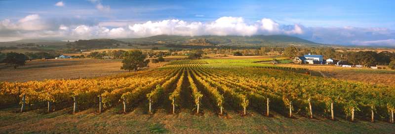 Newham - Hanging Rock Winery