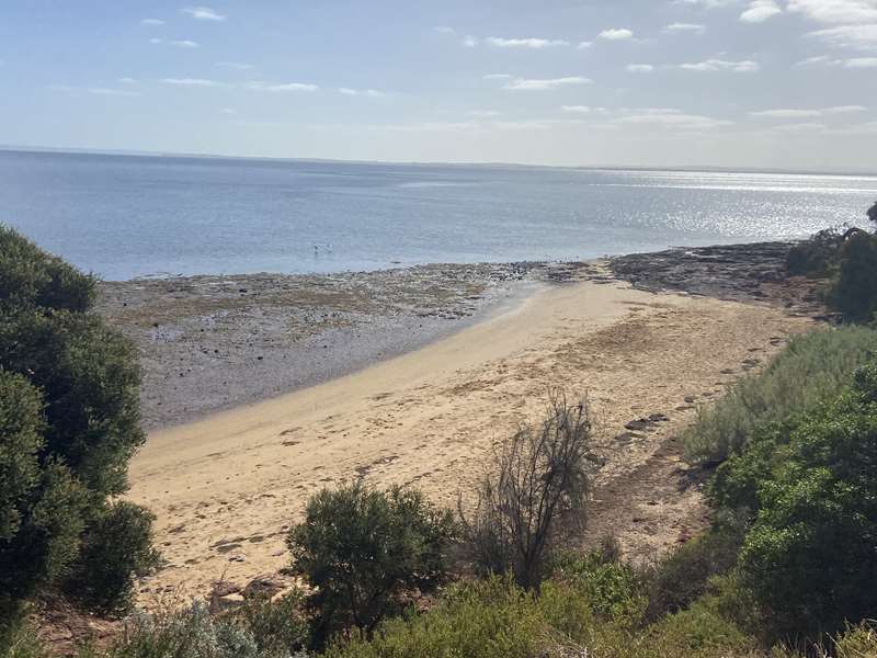 Newhaven Beach (Phillip Island)