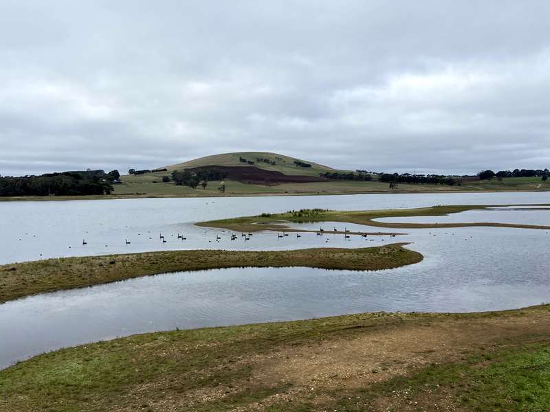 Newlyn North - Newlyn Reservoir