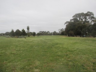 Newport Lakes Park Dog Off Leash Area (Newport)