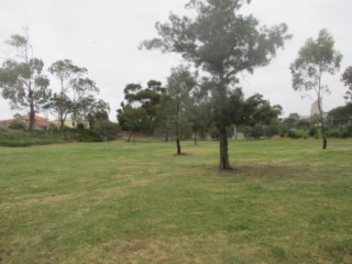 Newport Park Dog Off Leash Area (Newport)