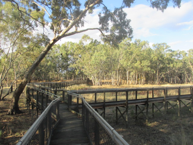 Nhill Swamp Wildlife Reserv