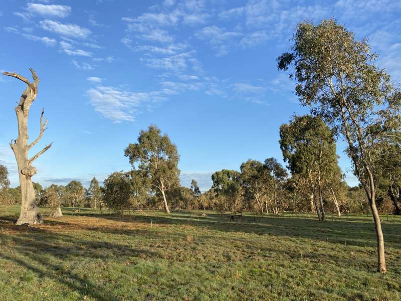 Nicola Davis Conservation Reserve (South Morang)