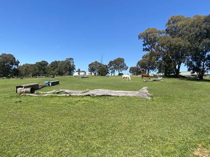 North Eastern Horse and Pony Club (Viewbank)