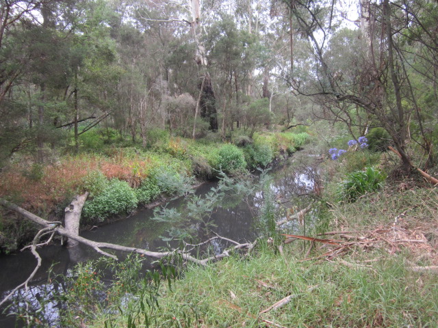 Nortons Park (Wantirna South)