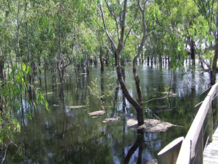 Numurkah - Kinnairds Wetlands