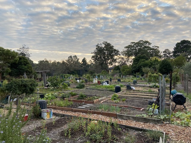 Nunawading Community Garden (Blackburn North)