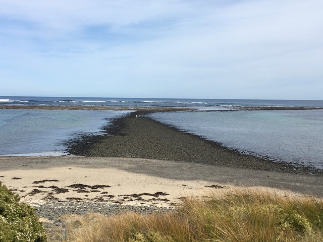 Flinders Ocean Beach and Mushroom Reef Marine Sanctuary