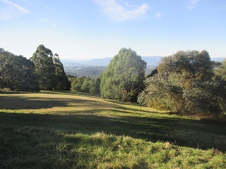 Old Olinda Golf Course Dog Off Leash Area (Olinda)