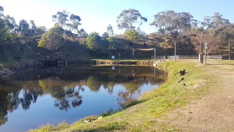 Livingstone Creek Park