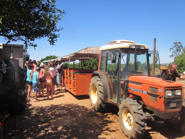 Orange World, Buronga