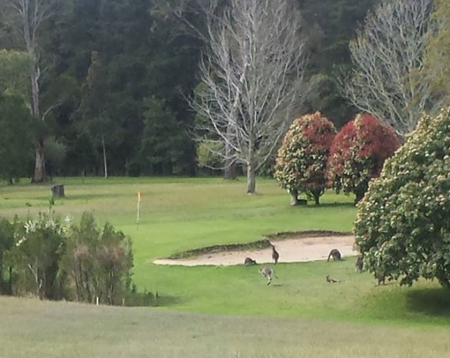 Orbost Golf Course