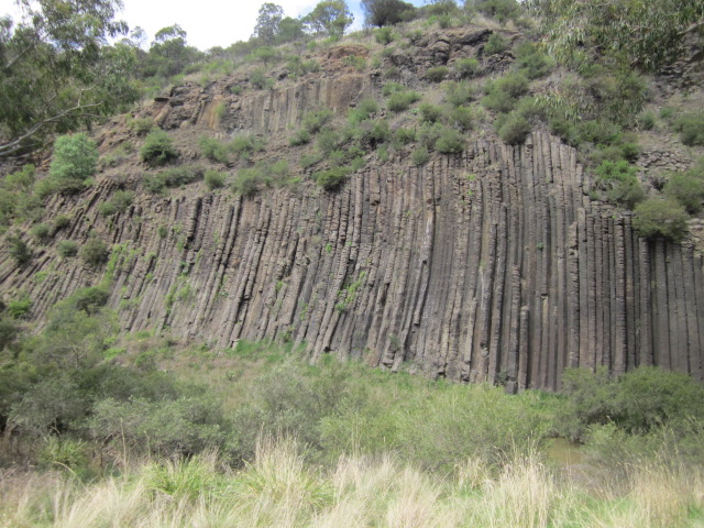 Organ Pipes National Park