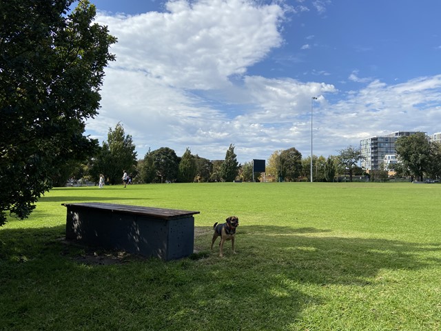 Orrong Romanis Reserve Dog Off Leash Area (Prahran)