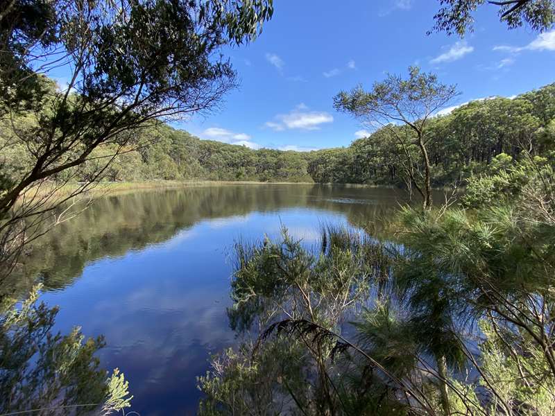 OT Dam Circuit Walk (Arthurs Seat)