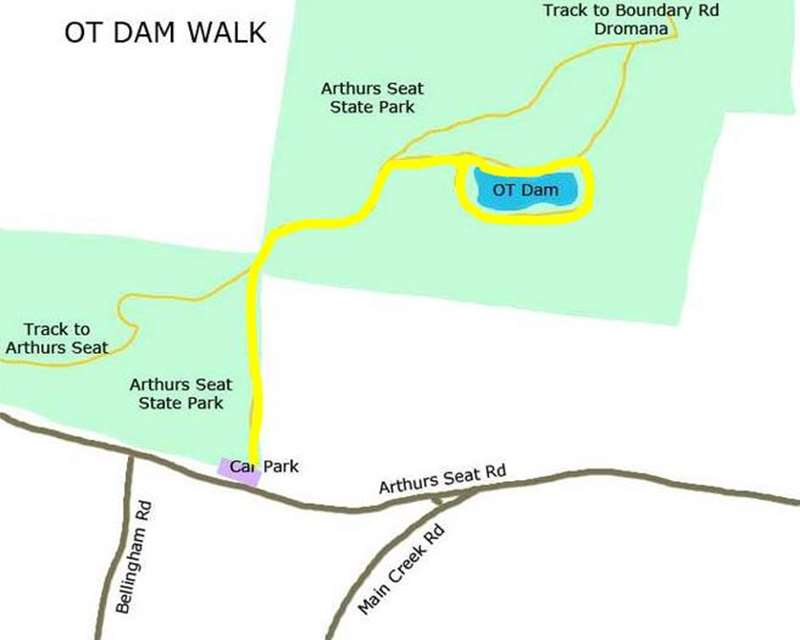 OT Dam Circuit Walk (Arthurs Seat)