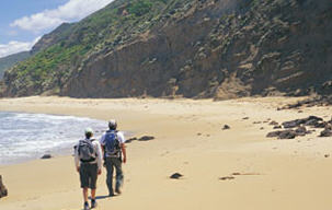 Great Ocean Walk (Otway Eco Tours)