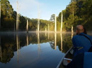 Otway Eco Tours - Platypus Tours