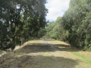 Outer Circle Linear Park - Spruzen Avenue to Belford Road Dog Off Leash Area (Kew East)