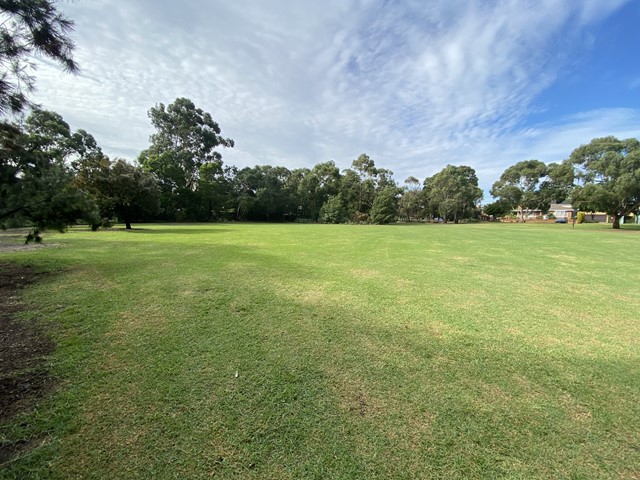 Packer Park Dog Off Leash Area (Carnegie)