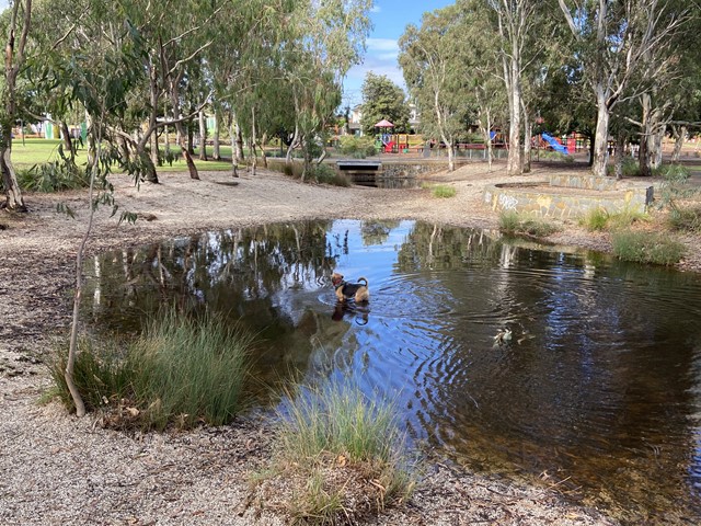 Packer Park Dog Off Leash Area (Carnegie)