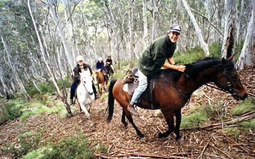 Anglers Rest - Packers High Country Horseriding