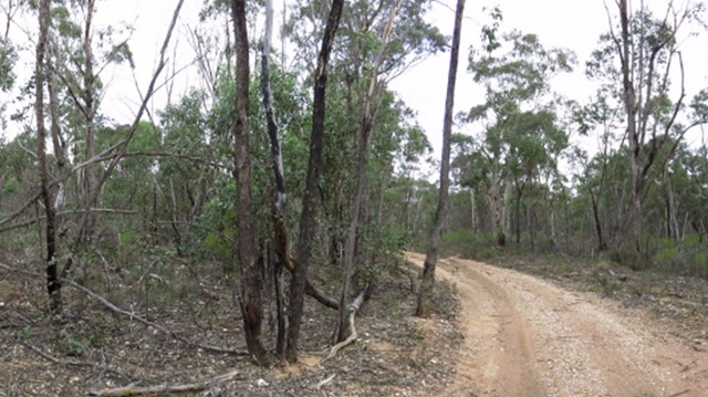 Maryborough - Paddys Ranges State Park